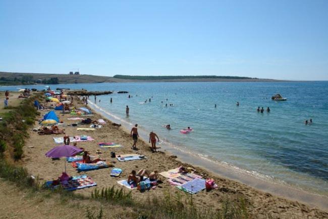 Apartments Mint Povljana - 50M From Sandy Beach Exterior photo