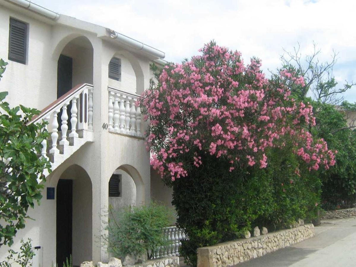 Apartments Mint Povljana - 50M From Sandy Beach Exterior photo