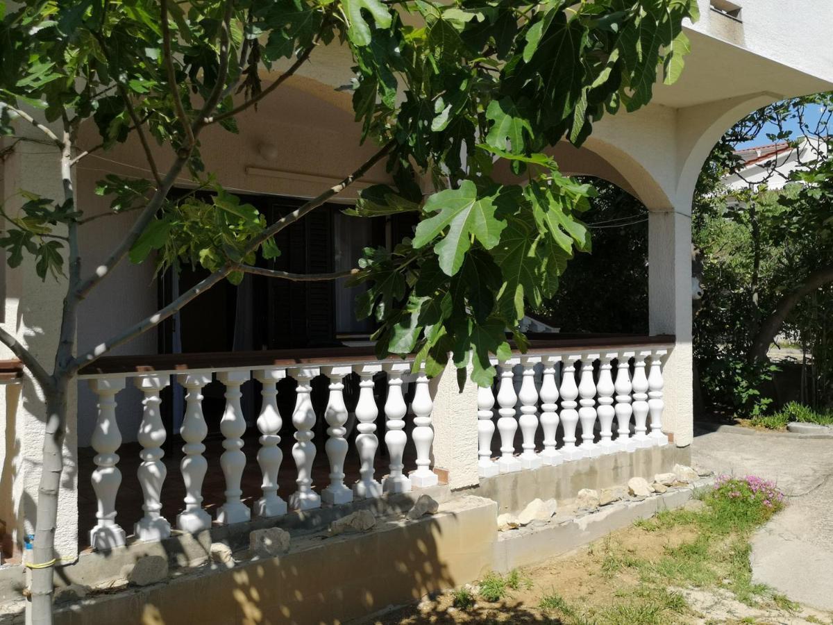 Apartments Mint Povljana - 50M From Sandy Beach Exterior photo
